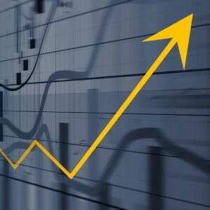 DIGITAL MARKKETERS KASARAGOD